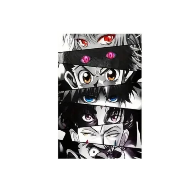 Hunter X Hunter Characters Eyes Canvas Poster (40x60cm) - 1 Piece - ملصق